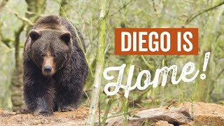 Diego is home!