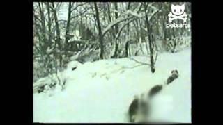Bulldogs Make Snow Train