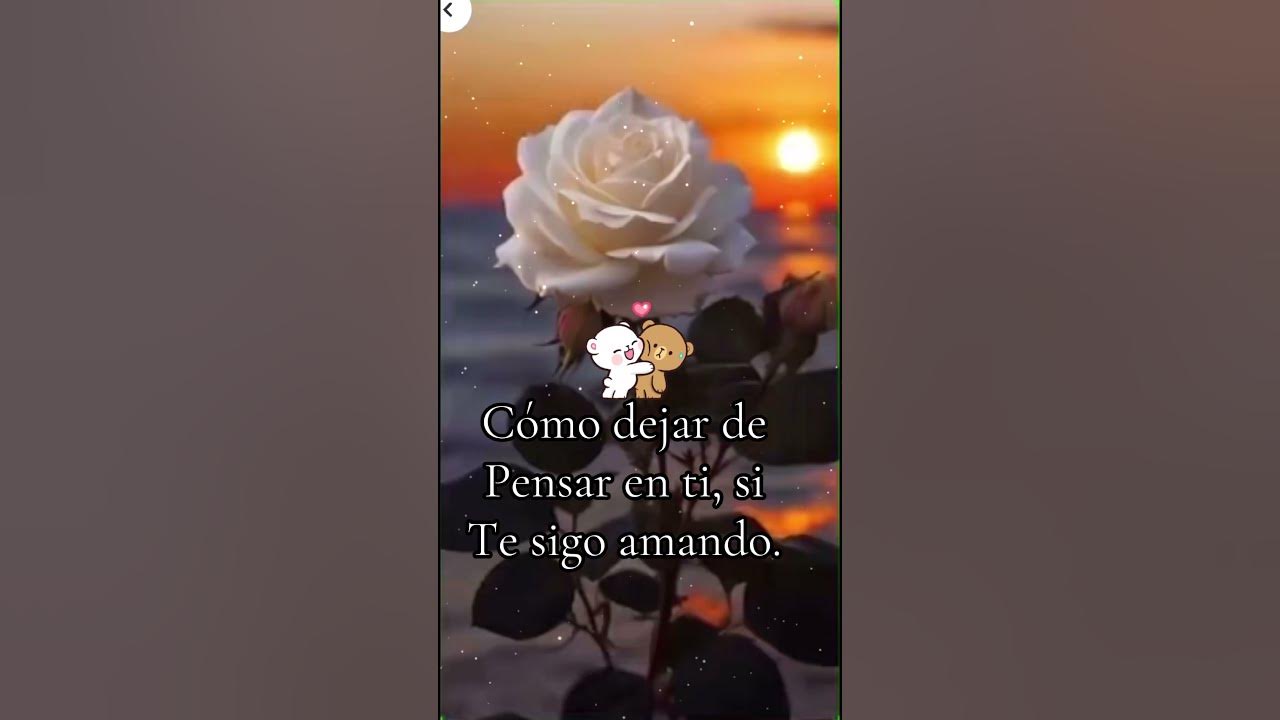 No te imaginas No te imaginas