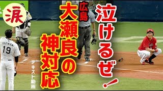 【スポーツ選手感動話】泣けるぜ!ぶつけられても笑顔!広島・大瀬良の神対応 藤浪に死球を受けた大瀬良投手の神対応に他球団のファンからも称賛の嵐!【涙・感動の話】『涙あふれて』【感動する話】 矢野麗華 検索動画21 【スポーツ選手感動話】泣けるぜ!ぶつけられても笑顔!広島・大瀬良の神対応 藤浪に死球を受けた大瀬良投手の神対応に他球団のファンからも称賛の嵐!【涙・感動の話】『涙あふれて』【感動する話】 矢野麗華 検索動画 21