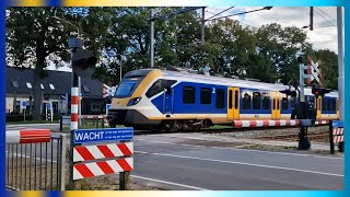 Spoorwegovergang Tynaarlo (Zuidlaarderweg) // Dutch Railroad Crossing