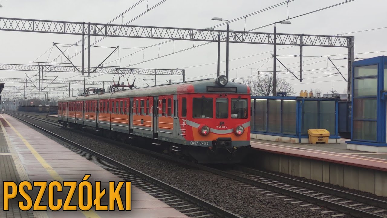 Pociągi na stacji Pszczółki (IC, PR, CARGO)