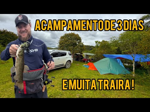 We camped in this paradise! Lots of traíra (a type of fish) on the surface!
