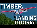 Learn how to land high wing rc planes eflite turbo timber landing tutorial