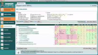 Selecting a Niche Market - Pat vs. Tyrone Niche Site Challenge