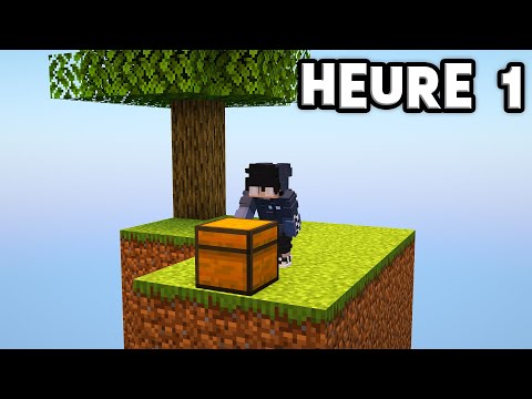 J'ai survécu 24H sur une ile volante sur Minecraft