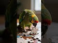 Fakta Unik Burung Beo 🦜 | Hewan yang Bisa Meniru Suara Manusia!