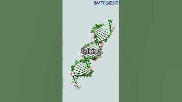 Intel Xeon 6: Memory Deep Dive!