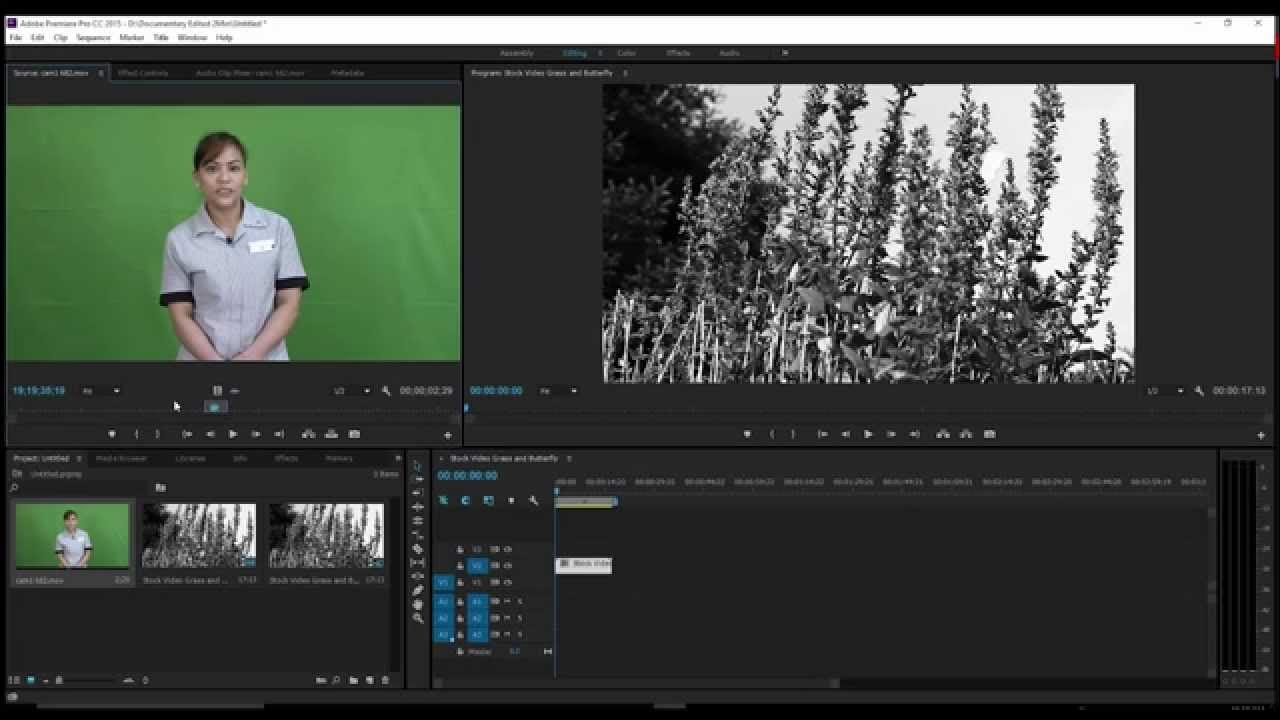 Двойная экспозиция Adobe Premiere. Двойная экспозиция в премьер про. Premiere Pro DAVINCI resolve after Effects Photoshop Mix. True effect