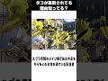 【スプラ雑学】スプラ界隈でタコが差別されてる理由について知ってる？#splatoon3 #スプラトゥーン3 #雑学