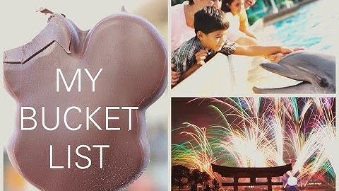 Disney College Program: My Bucket List ♡