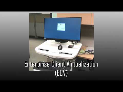 ECV Thin Client Login