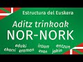 Aditz trinkoak verbos sintticos nornork eduki ekarri eraman jakin  estructura del euskera