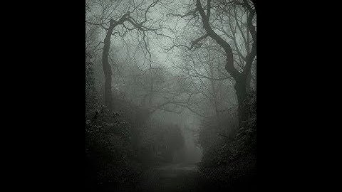 LA MUSIQUE LA PLUS FLIPPANTE AU MONDE !!!