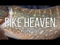 Pike Heaven - Pike Fishing trip to Ireland