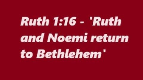 Ruth 1: The Book of Ruth, Catholic Bible Study, Fr. Tim Peters