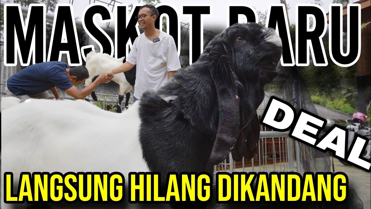 BLUNDER‼️ MASKOT KKTV -1 LAGI - KKTV