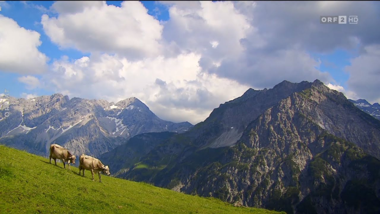 Ein.Blick:  Auf Oberüberlut