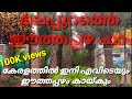 Date palm in Kerala | മലപ്പുറത്തെ ഈത്തപ്പഴ ഫാം |date palm in vettichira malappuram farm
