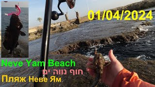 4K 01/04/2024 Neve Yam Beach חוף נווה ים пляж Неве ям דיג рыбалка fishing