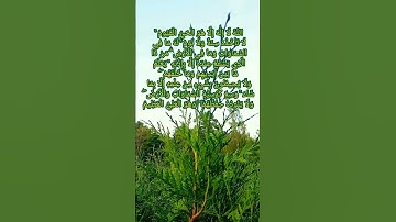 #القرآن_الكريم #سورة_البقرة #اية_الكرسي #بصوت #القارئ #معتز #آقائي