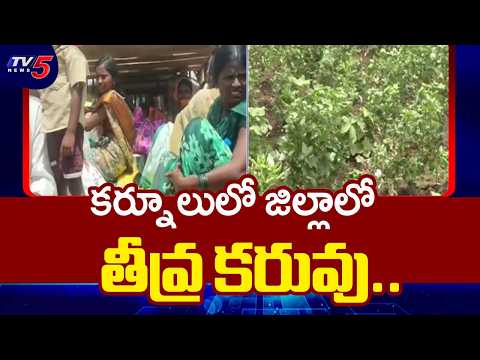 కర్నూలుపై ఎల్నీనో పంజా...El Nino Drought forces families to migrate from Kurnool District | TV5 News - TV5NEWS