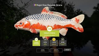 :   4 | # # #4 # |    