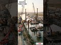 From Empty River to Mega Bridge: Insane Cable-Stayed Construction Timelapse #shorts #viral #fyp