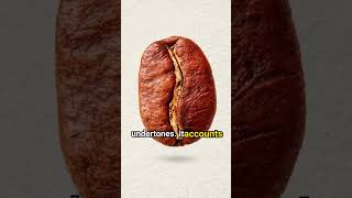 Exploring The Four Major Coffee Species Arabica, Robusta, Liberica, And Excelsa