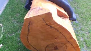 Wooden bench from a Tree trunk ( Ash wood ) , Part 2