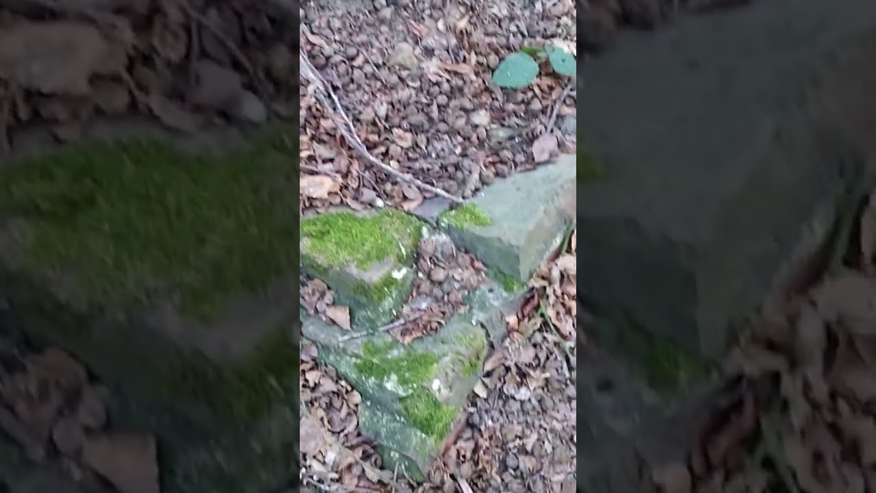 building destroyed during WW2.  