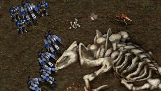 ¡¡La PRIMERA aparicion de JYM RAYNOR!!