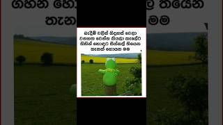 Bukiye Rasa Katha | Funny Fb Memes Sinhala | Sinhala meme athal?athal meme memeathal shorts viral