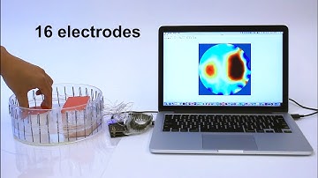 Advancing Hand Gesture Recognition with High Resolution Electrical Impedance Tomography