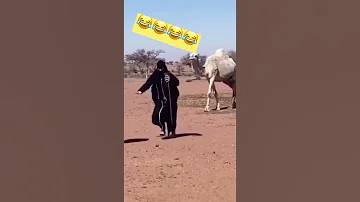 Explore Short السعودية تحديات ضحك مقالب Shorts ناقة 