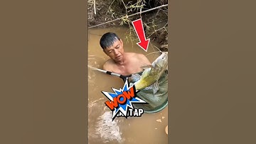 Lihat guys mancing ikan baung sampai patah joran nya ‼️ #shorts #fishing #mancing