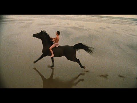 Atlı Film İncelemeleri 2.Bölüm/ Black Stallion (1979)