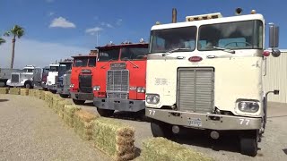 Mike Green Truck Show (2024)  Full Walkaround