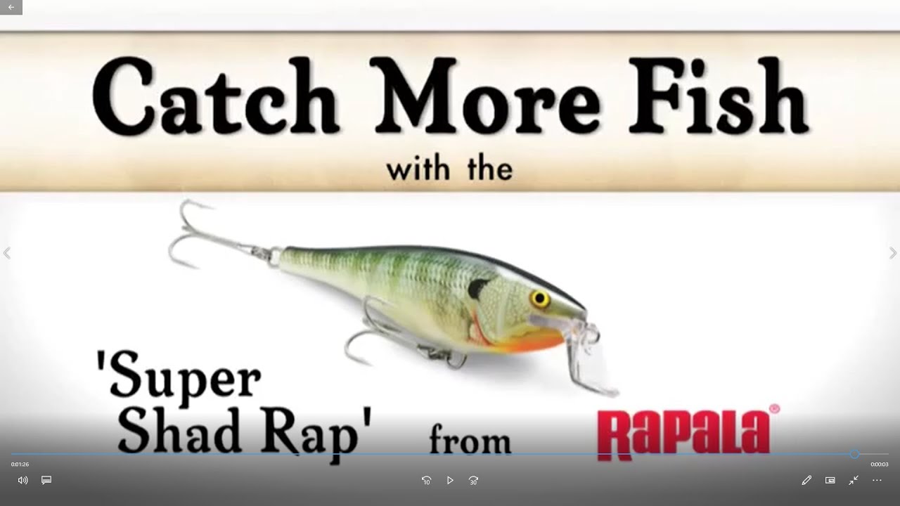 Fisherman Rapala Super Shad Rap 14 SSR14 FISHERMAN Tuning Model –  blueseabass