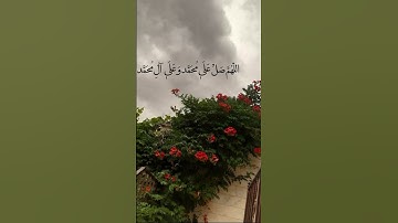 #قران_كريم #الشيخ ماهر المعيقلي سوره عبس