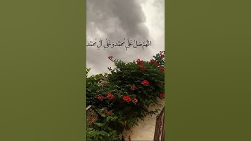 #قران_كريم #الشيخ ماهر المعيقلي سوره عبس