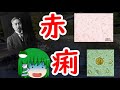 【ゆっくり解説】実は二種類ある! 病気解説 赤痢