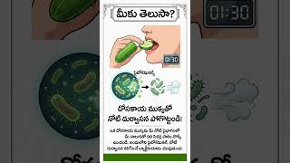 Can Cucumber Help Fight Bad Breath? 🥒 Fresh Breath Hack Explained!