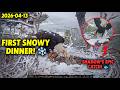 First Snowy Dinner: Jackie Feeds the Eaglets in the Freezing Snow Thanks to Shadow 🥺