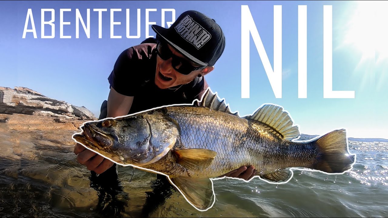 ABENTEUER NIL - Kapitel 1 || Auf der Suche nach dem legendären Nilbarsch in Ägypten