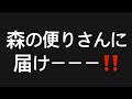 森の便りさんに届けーーー‼️#百田尚樹　#有本香　#飯山陽　#日本保守党　#河村たかし　#減税日本