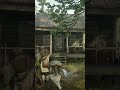 One Throw… 💥 #arthur morgan #rdr2 clips