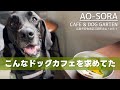 【広島】気になっていたドッグカフェが想像以上だった!