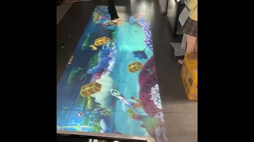 Interactive projection system with multiple fish pond effects to choose and big image