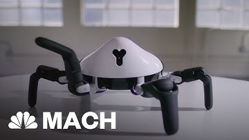 Meet Hexa, An Adorable, Terrifying, Spider-Like Robot | Mach | NBC News